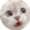 daigakuichimennsei