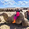 tikkysamit