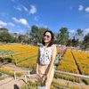 ป้อมป้อมขายถูก