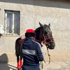 talipkhanov_707