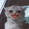 fkfkfkfk888