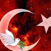 leilayilmaz