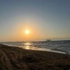 gulya_359
