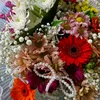 shaz_0678