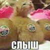 chekushkin1