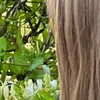 bella.ellissea