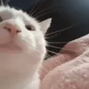 ͏⌘