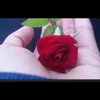 user85620787