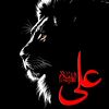 muzammal994