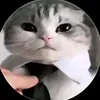 fkufigj
