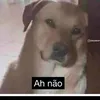 tisti.11