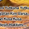 nazli.denis