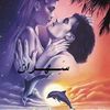 talal20222