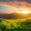 natureguy23