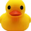 rubberduckiekink