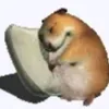 mmarispo