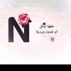 neveen972