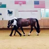 lilalaune19