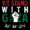 seba_zn