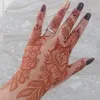 fatima_azaouag