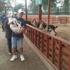 julior365