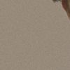 _dais.xf