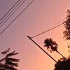 poeta_lunaar
