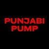 PUNJABI PUMP
