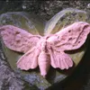 its.__.matheus