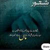 abrahamwaqas7
