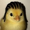 j0rge.west