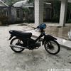 plosokgank