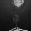 stonerfromaz03