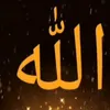 user84354093