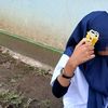 flawor_rorw