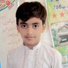 wajid.saghar