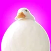 Lad Duck