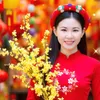 thanh_an84
