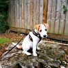 seve_the_parson
