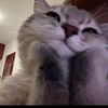 animejellybeans5