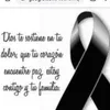 perimetralecua
