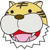 bonchikkot