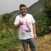 alessandrogomespa1
