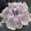 nasutashia