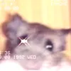 xrastafarayx