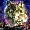 the_lone_wolf2025