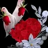 user9u44g1i3co