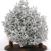 Anthill Art