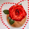 user7414188534016