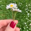 kiki_893